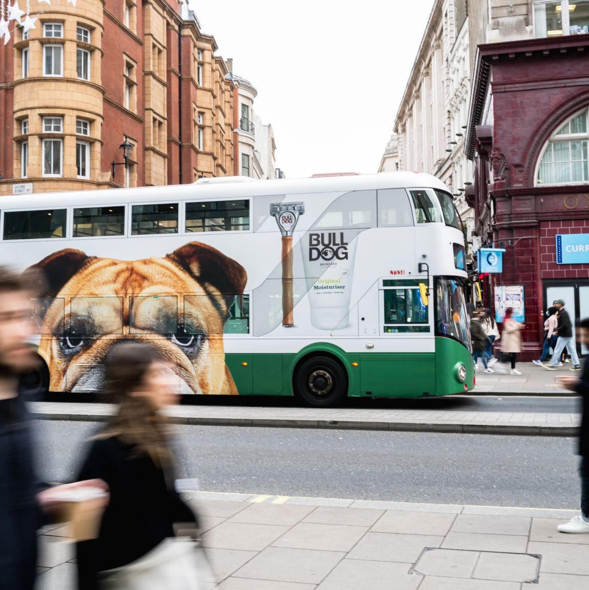 A London bus featuring an OOH wrap for Bulldog Skincare depicting a large Bulldog image.
